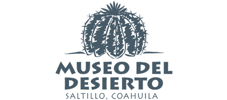 desierto